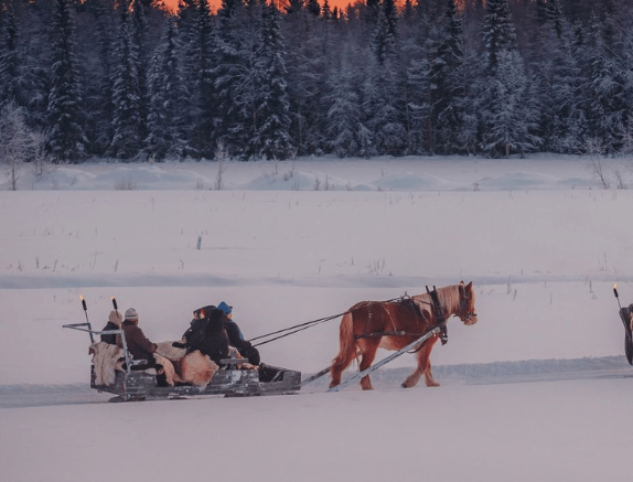 Arrensleetocht Trysil Noorwegen Scandic Booking w h