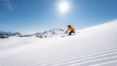 blok ski r