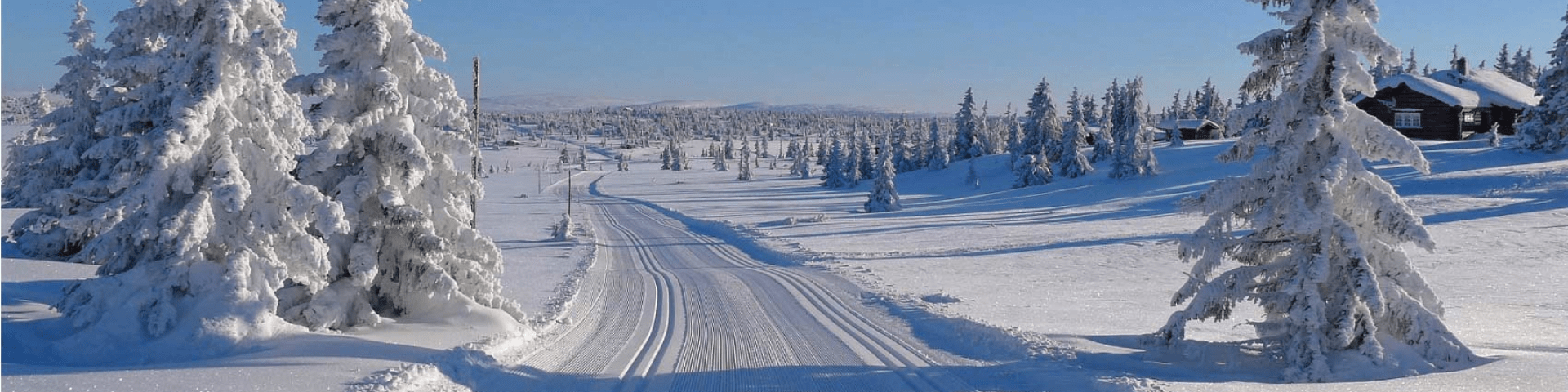 hero sjusjoen noorwegen langlaufen jpg