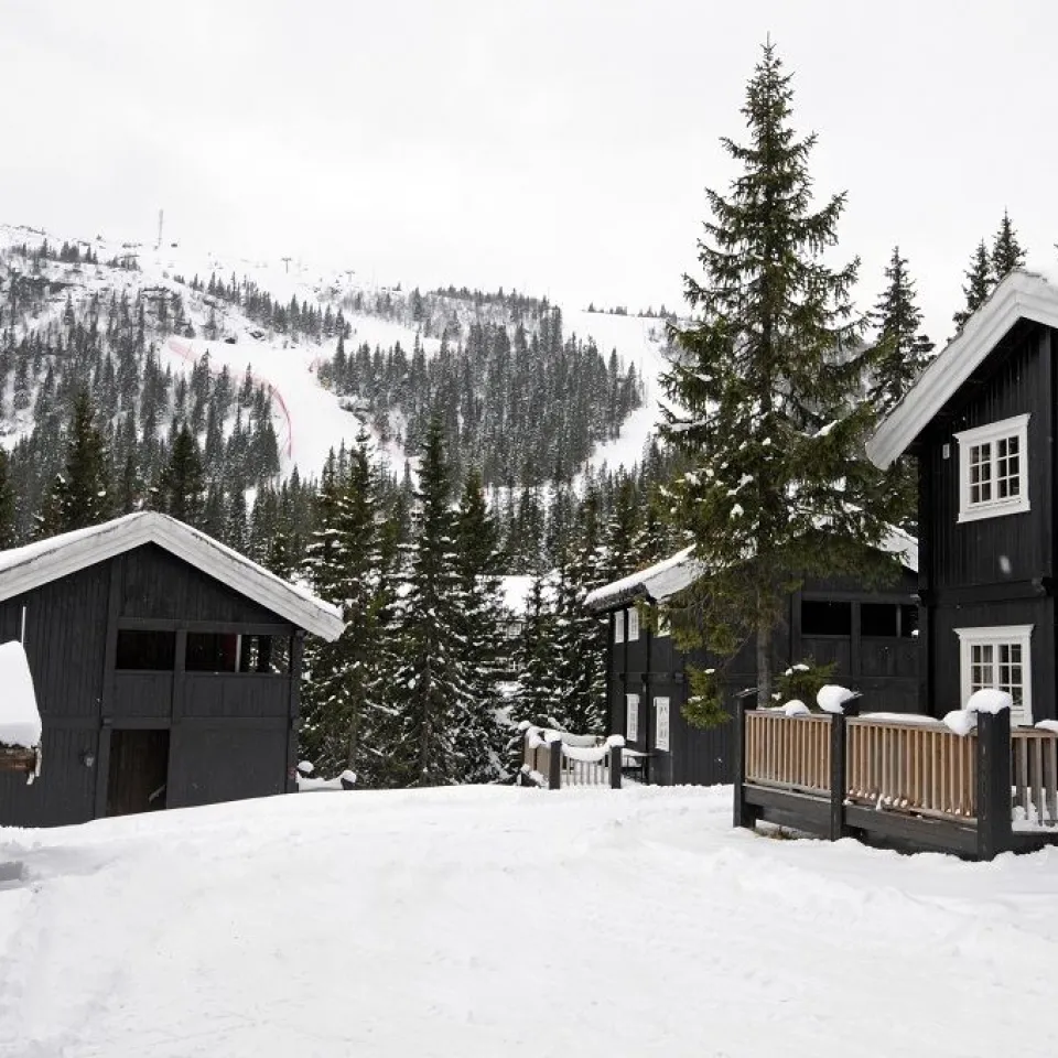 https://scandicbooking.nl/wp-content/uploads/2025/06/Resort-Gubrandsgard-hyttegrend.webp