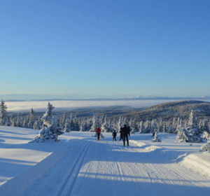 https://scandicbooking.nl/wp-content/uploads/2025/06/Resort-Nordseter-.png