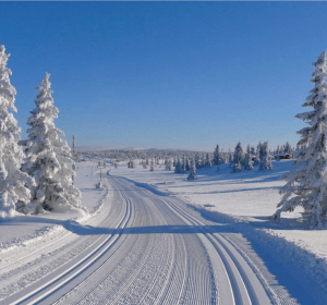 https://scandicbooking.nl/wp-content/uploads/2025/06/Resort-Sjusjoen.png